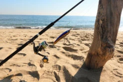 2021 Hibiki X Livre Lapis 210 -Best Fishing Store 131406150 2856330524611631 6413050811572976695 n