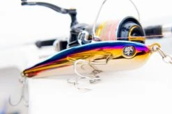 2021 Hibiki X Livre Lapis 210 -Best Fishing Store 138619067 2877116769199673 818473591082330157 n