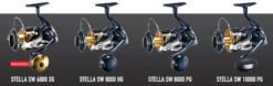 2020 Shimano STELLA SW -Best Fishing Store 2020 STELLA 3 d89a4ce7 d91c 4c09 857b 70f38d01c092