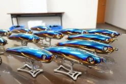 2021 Hibiki X Livre Lapis 210 -Best Fishing Store 204070291 2996190187292330 2197829939057924377 n