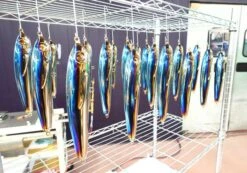 2021 Hibiki X Livre Lapis 210 -Best Fishing Store 204242305 2991213847789964 4056392267686799193 n