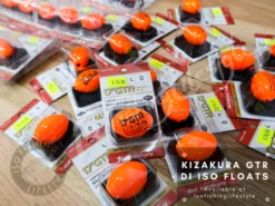 Kizakura GTR 2017 - L