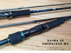 Daiwa 2020 Emeraldas MX Eging Rod 22 Daiwa 2020 Emeraldas MX Eging Rod -Best Fishing Store 3 1fcd4749 7c65 4365 ad94 af76c77cb721