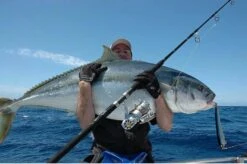 CB One Zorro 200 -Best Fishing Store 45709299 471206773406325 194177232388751360 n