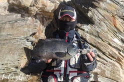 Sunline V-Hard Fluorocarbon Leader 100M -Best Fishing Store DSC0038 7 c85efd2d 5a5d 4dc7 99c5 aa1538d245e7