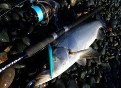 FCL LABO UC11.5ft 2S (Double S) (Spinning) -Best Fishing Store FCLLaboUC11.5ft2S5