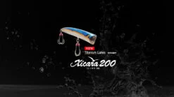 2022 Hibiki X Livre Xicara 200