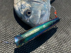 2022 Hibiki X Livre Xicara 200 -Best Fishing Store HibikiXLivreXicara2005