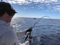 Ocean’s Legacy Elementus Overhead -Best Fishing Store IMG 7184 scaled 1