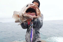 Oceans Legacy Hybrid Contact Jig -Best Fishing Store IMG 9479