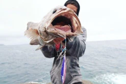 Oceans Legacy Hybrid Contact Jig Rigged -Best Fishing Store IMG 9479 5b257b8a f5d7 4c9d 8eed ba3036ffae2a