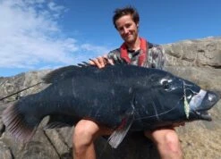 Ocean's Legacy 2020 Specialist Shore Rods (Spin) 12 Ocean's Legacy 2020 Specialist Shore Rods (Spin) -Best Fishing Store IMG 9552 e1585585940563 1c5b46b4 8542 454a 9774 4c563bfe0b95