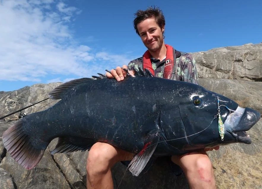 Ocean's Legacy 2020 Specialist Shore Rods (Spin) 7 Ocean's Legacy 2020 Specialist Shore Rods (Spin) - Image 5