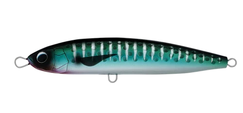 Daiwa Saltiga Rough Ride 12 Daiwa Saltiga Rough Ride - Image 10