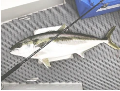 CB One Enfinity EN80/16 - Ultimate Dreamer -Best Fishing Store Screen Shot 2019 08 28 at 2.37.24 pm