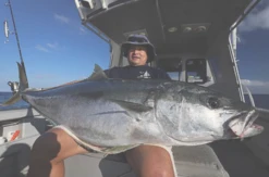 CB One Enfinity EN80/16 - Ultimate Dreamer -Best Fishing Store Screen Shot 2019 08 28 at 2.38.01 pm