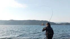 Shimano 22 Rinkai Limited -Best Fishing Store Shimano22Rinkailimited