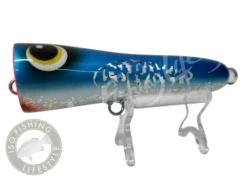 ASWB Reefs Edge Roey Pop 40G -Best Fishing Store SolarFireSardine