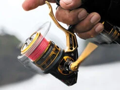2018 Daiwa Tournament ISO LBD -Best Fishing Store TN IsoLBD cut10 44778524 db54 4486 9027 a73c6c6984df