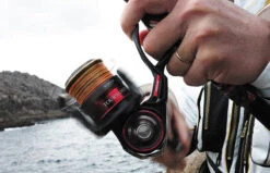 Daiwa 2022 Tournament ISO LBD -Best Fishing Store daiwa22tournament3