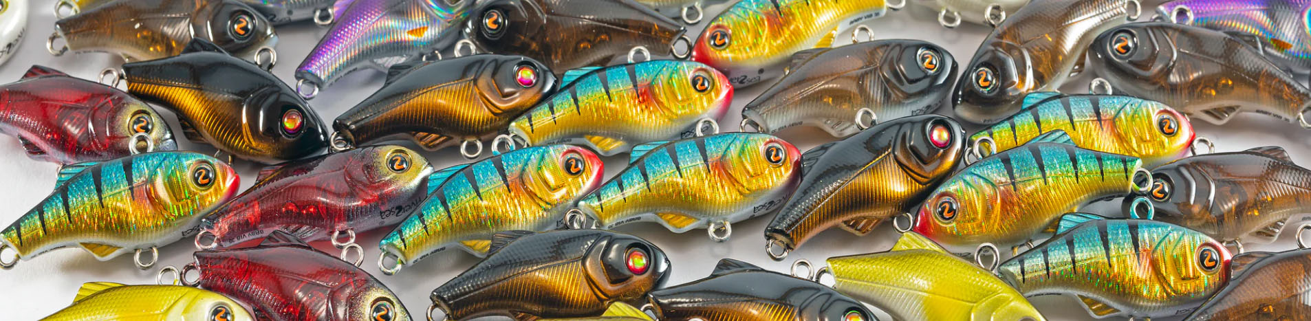 Best Fishing Store -Best Fishing Store fgfg