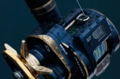 2021 Daiwa Saltiga IC -Best Fishing Store field09