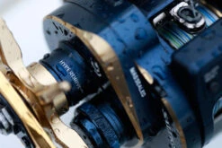 2021 Daiwa Saltiga IC -Best Fishing Store field14