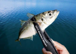 Golden Mean GM Capture Grip Black -Best Fishing Store gmcapturegrip feature aji