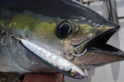 2019 CB One Ryan 230mm 130g -Best Fishing Store image c8f339c6 7a4d 42f4 8607 30cac74d6f6a