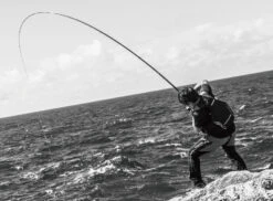 2018 Shimano Basis ISO BG -Best Fishing Store img 01