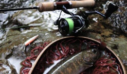 2019 Shimano Vanquish (NEW SIZES) -Best Fishing Store img main02