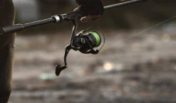 2019 Shimano Vanquish (NEW SIZES) -Best Fishing Store img main04