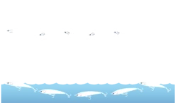 Maria Legato Stickbait F165 -Best Fishing Store legato img02 2747d8bd 8e14 4bc4 835a 4ac5b67c85a7