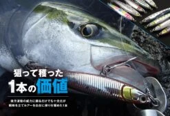 Maria Fla-Pen Blue Runner 85mm 28g -Best Fishing Store mv blue runner 01 b6ca69d4 88ff 4f9a ab15 7733a3bc849a