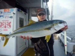 MC Works Real Fusion RF601LR (Special Model) -Best Fishing Store real fusion 601LR SP thumbnail