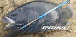 Ocean's Legacy 2020 Specialist Shore Rods (Spin) 13 Ocean's Legacy 2020 Specialist Shore Rods (Spin) -Best Fishing Store specialist2 02548fc6 4222 4675 8a53 27d754779986