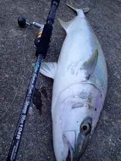 MC Works Strange Blue SB104R (Special Model)