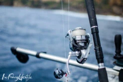 Delux Amigo Super PE Braid 300m Spool -Best Fishing Store trLIN0L 8f56b9bb 7921 4279 a049 8aa59c1f8b90