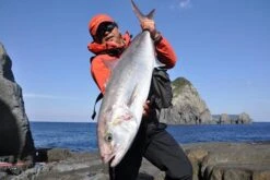 MC Works Wilde Breaker WB113 R/S STD