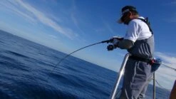 Best Fishing Store -Best Fishing Store zenaq whippy 1 6ea480a2 e065 4c86 b04b 7ca40eec65b8